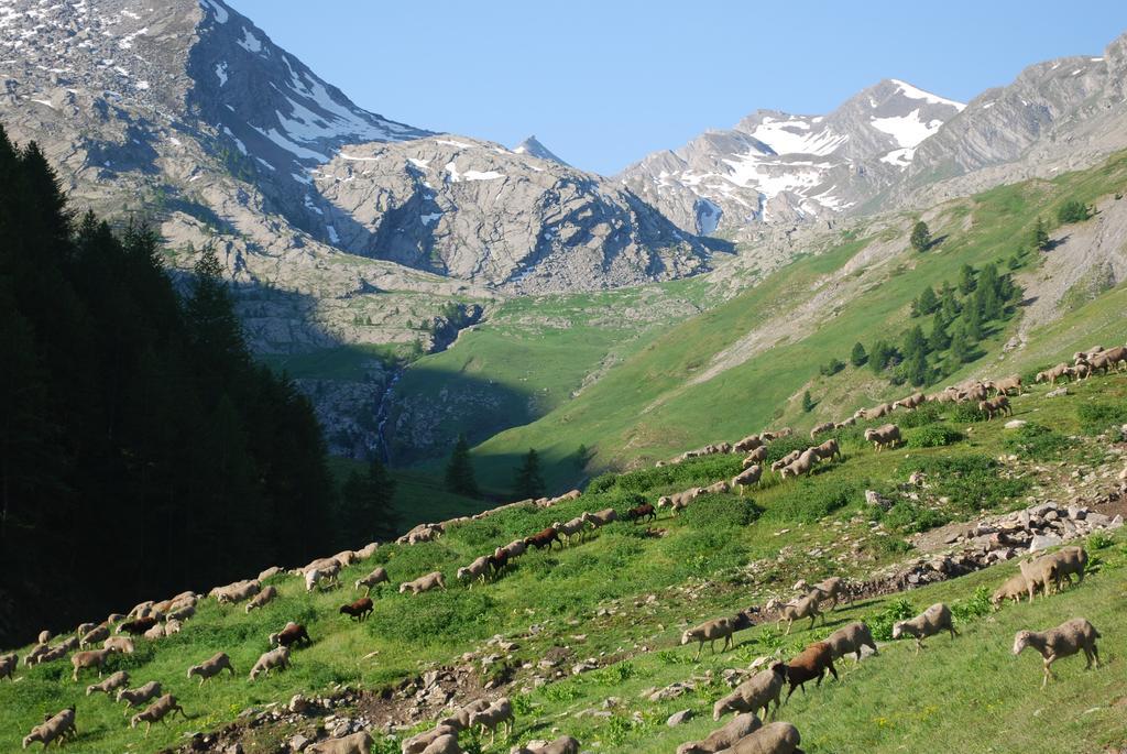Le Clos Du Berger Le Sauze Esterno foto
